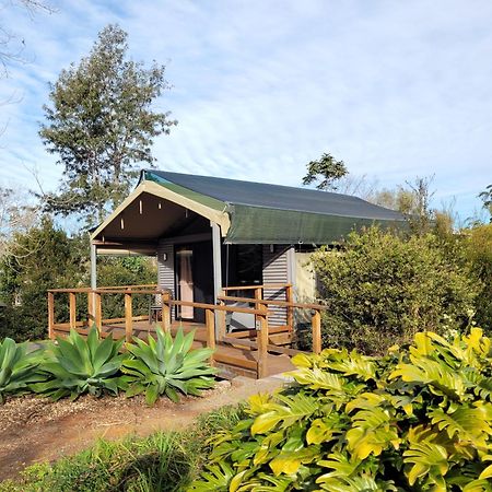 Southern Sky Glamping Mount Tamborine Kültér fotó